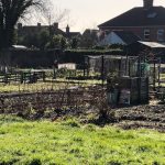 North Walsham allotments