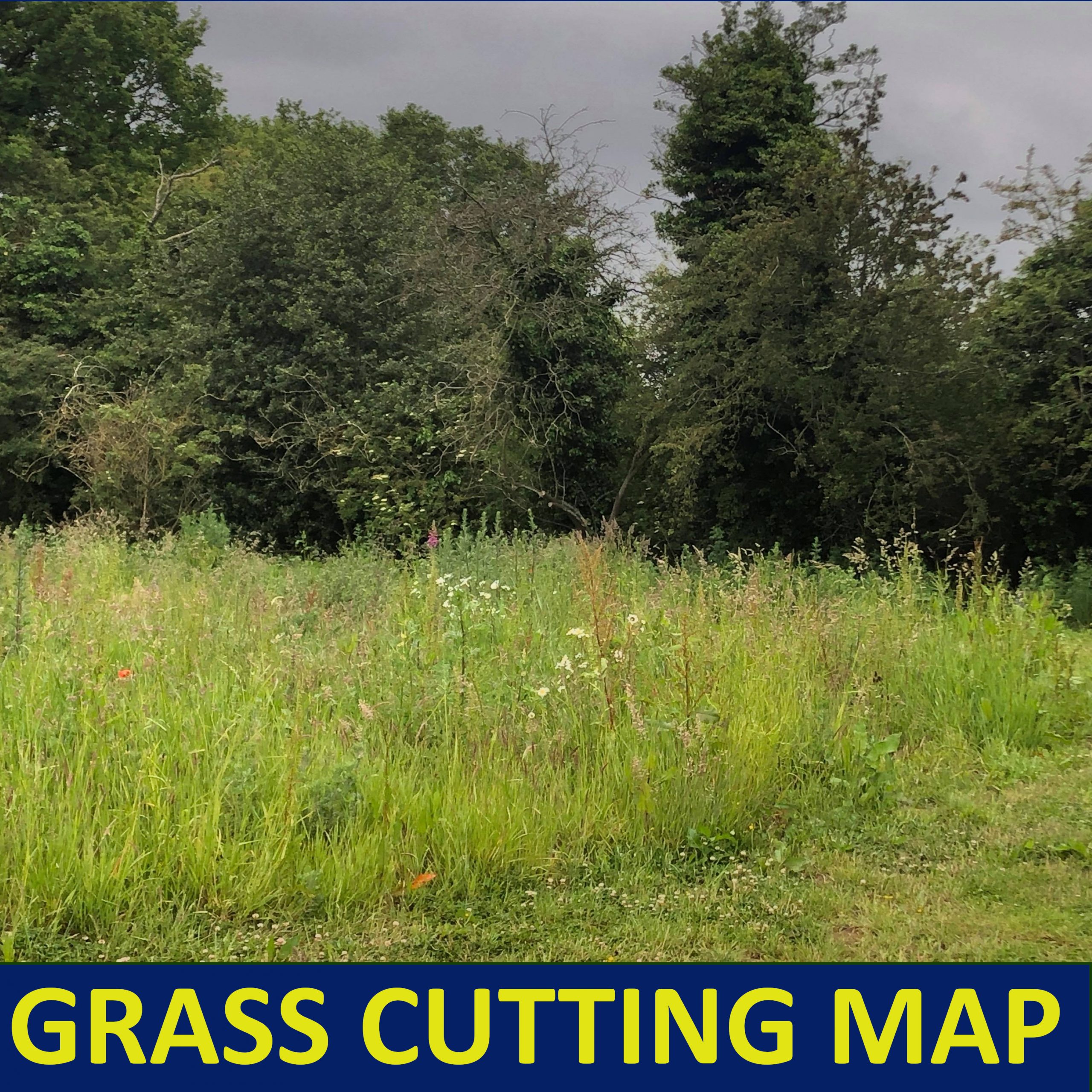 Grass Cutting Button